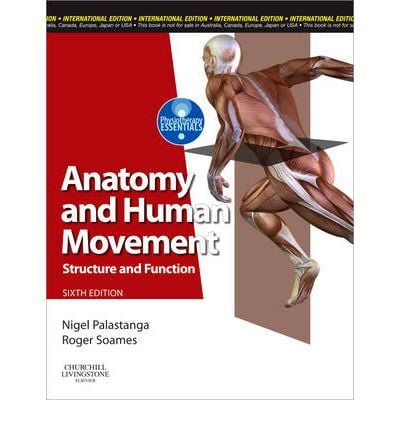 Anatomy and Human Movement: Structure and Function - FAHASA.COM