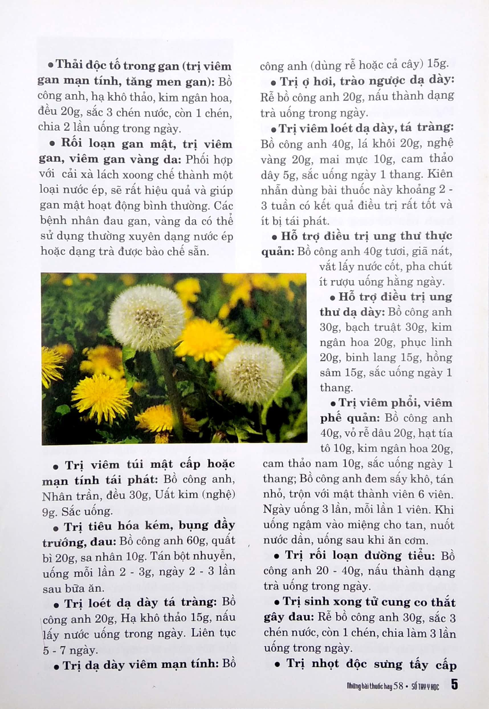 Bộ Sổ Tay Y Học - Những Bài Thuốc Hay 58 PDF Bộ Sổ Tay Y Học - Những Bài Thuốc Hay 58 PDF